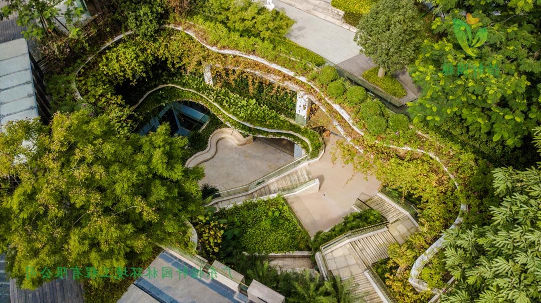 菲律宾网赌担保平台园林深圳博林天瑞小区绿化景观设计实景图